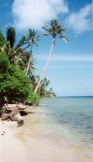 una de las playas vírgenes de estas islas del pacífico